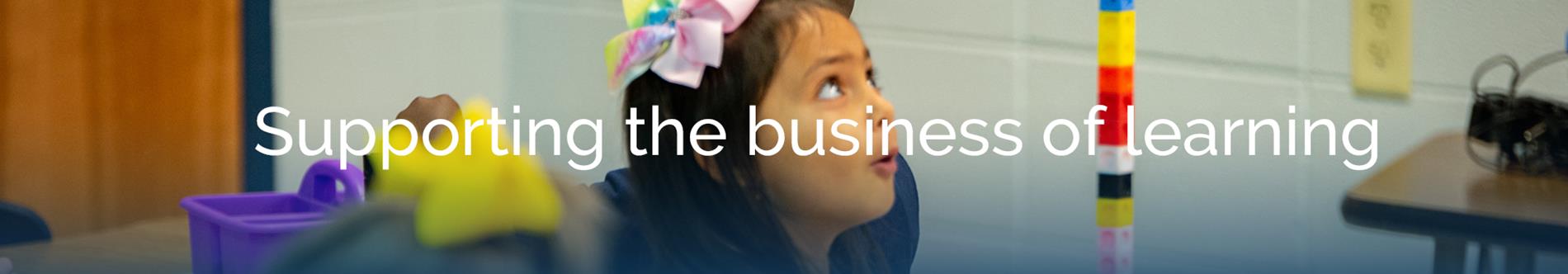 Decorative header image stating Supporting the business of learning